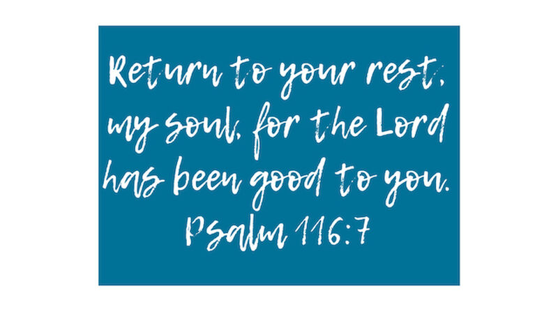 Staying Rooted A Girls' Quiet Time Devotional